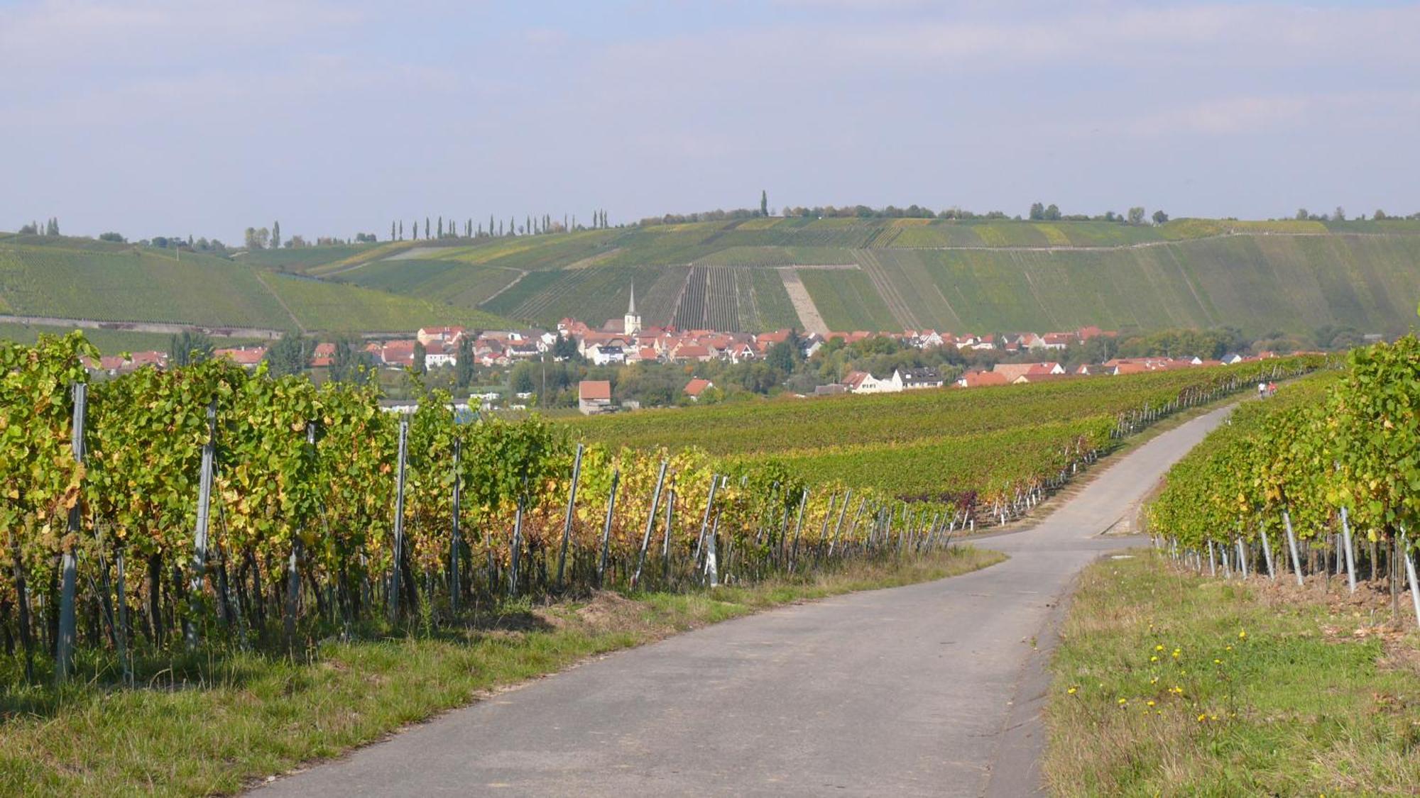 Weingut Herbert Kram Nordheim am Main Dış mekan fotoğraf