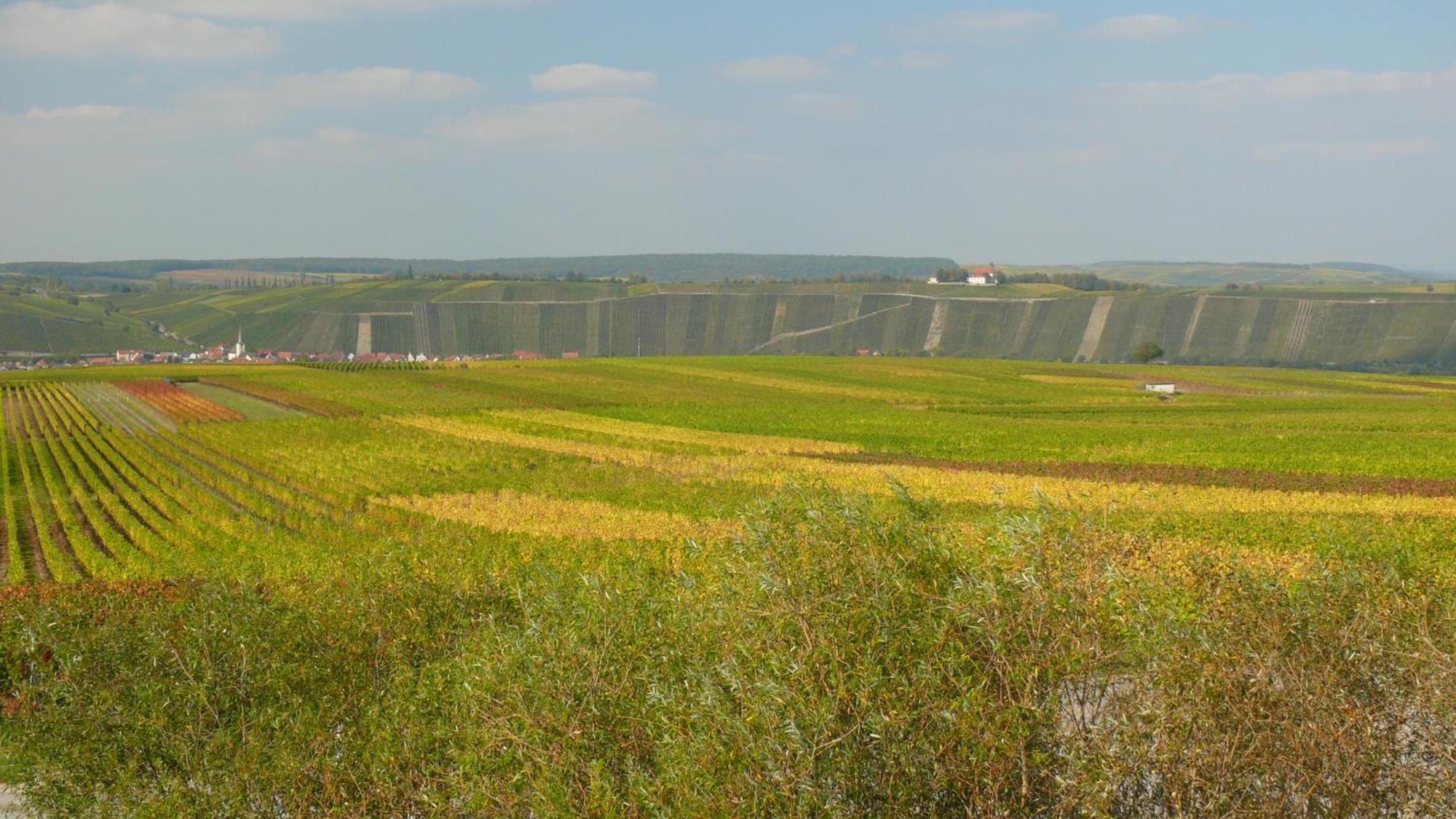 Weingut Herbert Kram Nordheim am Main Dış mekan fotoğraf