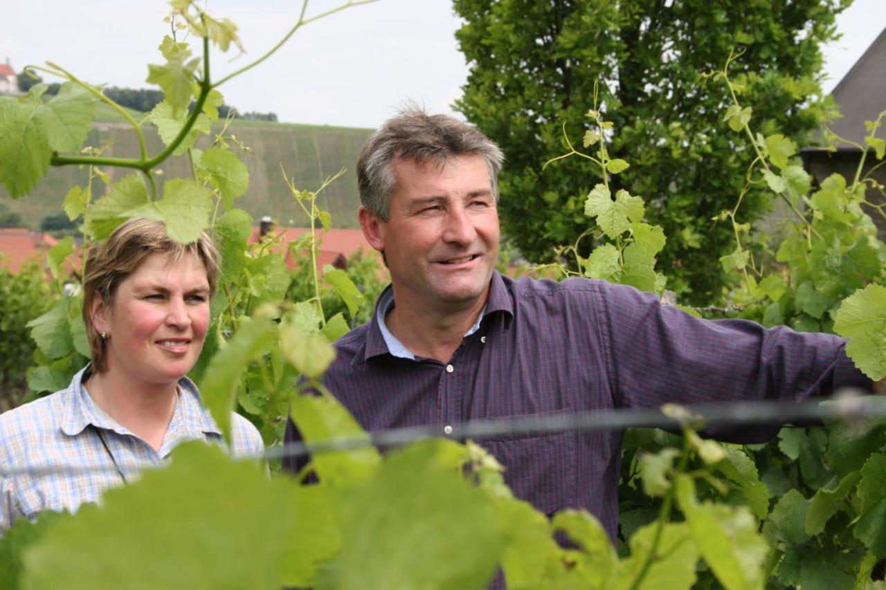 Weingut Herbert Kram Nordheim am Main Dış mekan fotoğraf